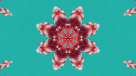 Loop kaleidoscope background Stock Footage 55248976