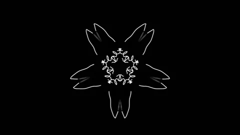 Loop Kaleidoskop Mandala 12 7fold Stock Footage 197995688