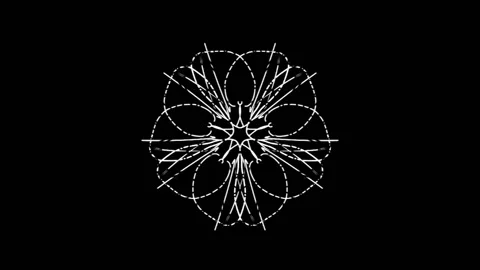 Loop Kaleidoskop Mandala 13 7fold Stock Footage 197995727