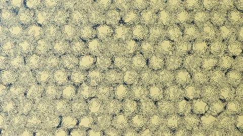 Loop motion over abstract honecomb surface Stock Footage 133562575