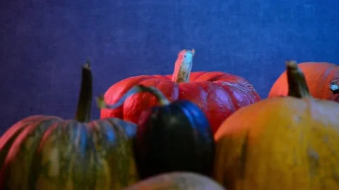 Loop motion of pumkin in colorful lights Stock Footage 141851267