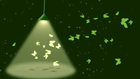 Loop Mystical Background Green Stock Footage 248273900