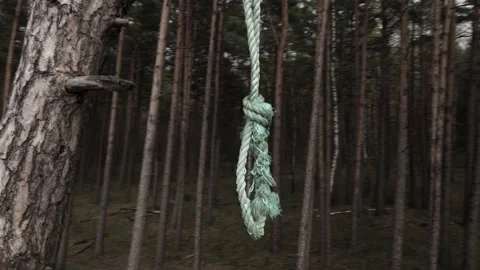 Loop neck from rold ope in forest Stock Footage 155039704
