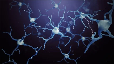 Loop Neuron cells connections world Stock Footage 102853145
