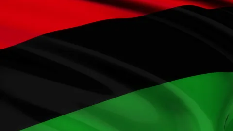 Loop of Pan African flag waving in wind Stock Footage 238527558