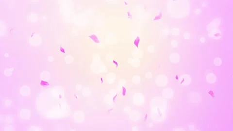 Loop Pink Rose Petals Falling, cherry blossom on spring background, nature Stock Footage 277791092
