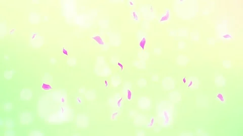 Loop Pink Rose Petals Falling, cherry blossom on spring background, nature Stock Footage 277791108