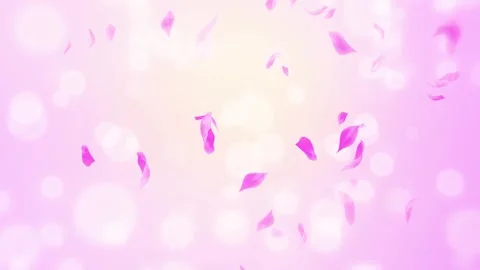 Loop Pink Rose Petals Falling, cherry blossom on spring background, nature Stock Footage 277791118