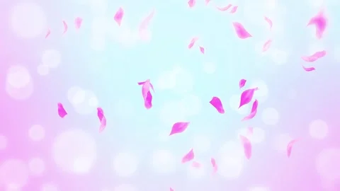 Loop Pink Rose Petals Falling, cherry blossom on spring background, nature Stock Footage 277791126