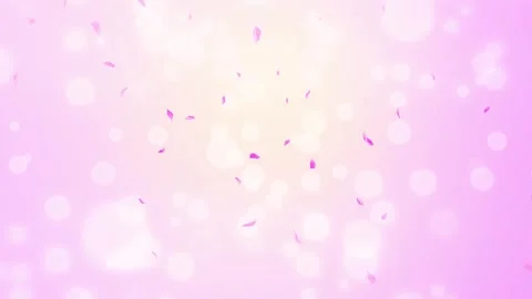Loop Pink Rose Petals Falling, cherry blossom on spring background, nature Stock Footage 277791143