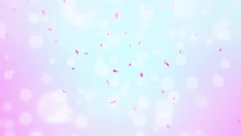 Loop Pink Rose Petals Falling, cherry blossom on spring background, nature Stock Footage 277791149