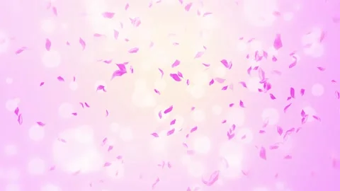 Loop Pink Rose Petals Falling, cherry blossom on spring background, nature Stock Footage 277791183