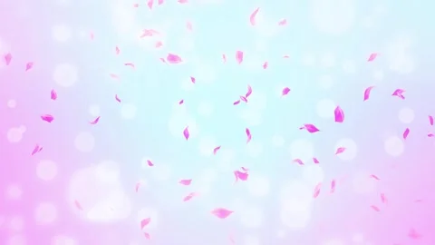Loop Pink Rose Petals Falling, cherry blossom on spring background, nature Stock Footage 277791213