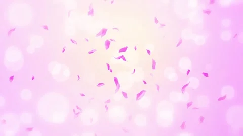 Loop Pink Rose Petals Falling, cherry blossom on spring background, nature Stock Footage 277791232