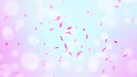 Loop Pink Rose Petals Falling, cherry blossom on spring background, nature Stock Footage 277791240
