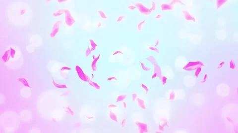 Loop Pink Rose Petals Falling, cherry blossom on spring background, nature Stock Footage 277791258