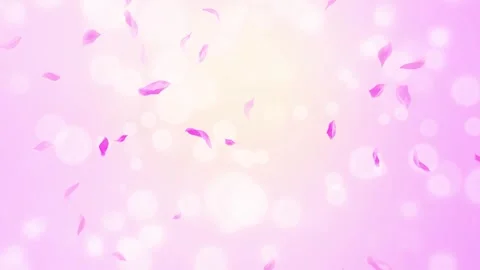 Loop Pink Rose Petals Falling, cherry blossom on spring background, nature Stock Footage 277791572