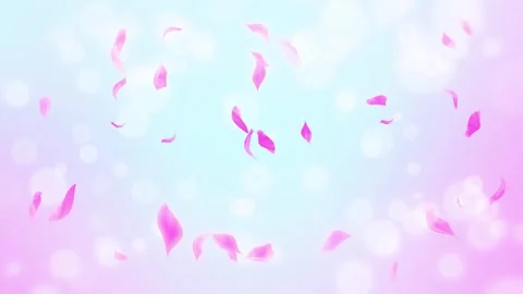 Loop Pink Rose Petals Falling, cherry blossom on spring background, nature Stock Footage 277792257