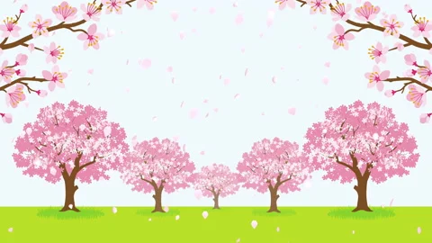 Loop ready file - falling cherry blossom petals in the spring park background Stock Footage 169569629