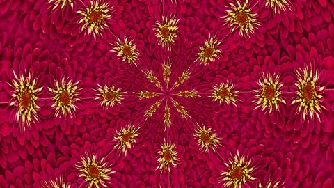 Loop Ready Seamless Floral Background. Stock Footage 104270906