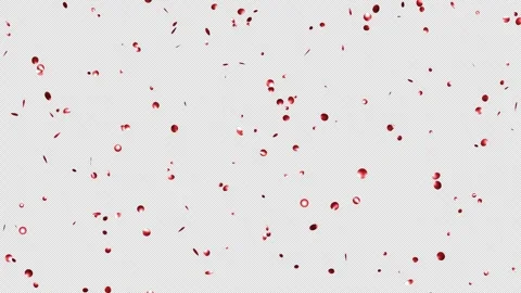 Loop Red confetti are falling on Alpha channel. Stock Footage 279900504