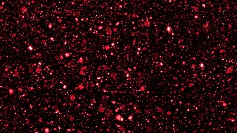Loop red spark particles floating abstract on black background Video stock 307046659