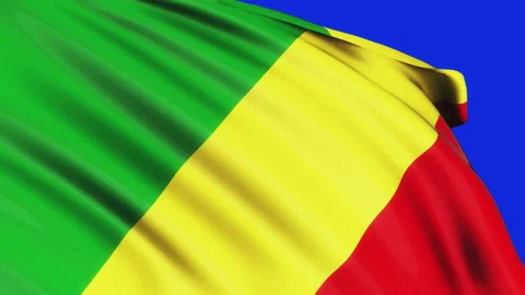 Loop of Republic of the Congo flag waving i Stock Footage 196901821