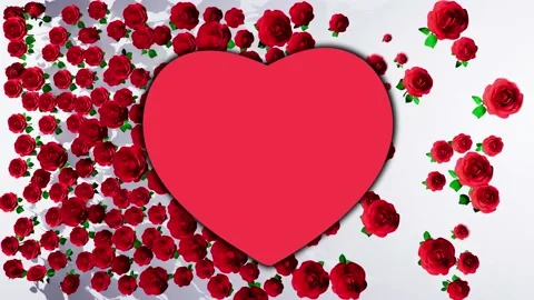 Loop of roses grow up scale red plant calentines day wedding celebration ani Stock Footage 231807764