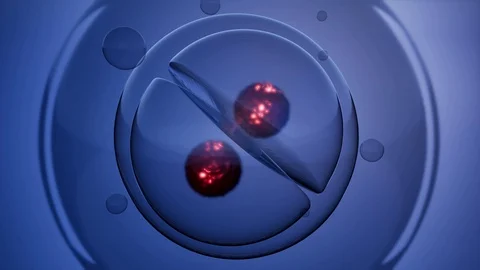loop rotate cell division illustration | Stock Video | Pond5