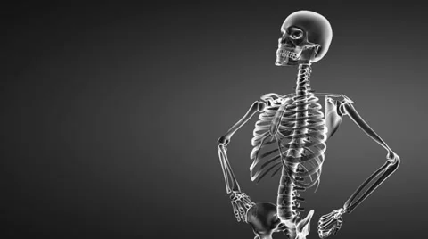Loop rotate skeleton Video stock 30315789