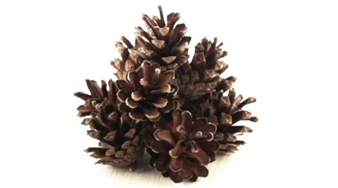 Loop rotating cones 動画素材 9455469