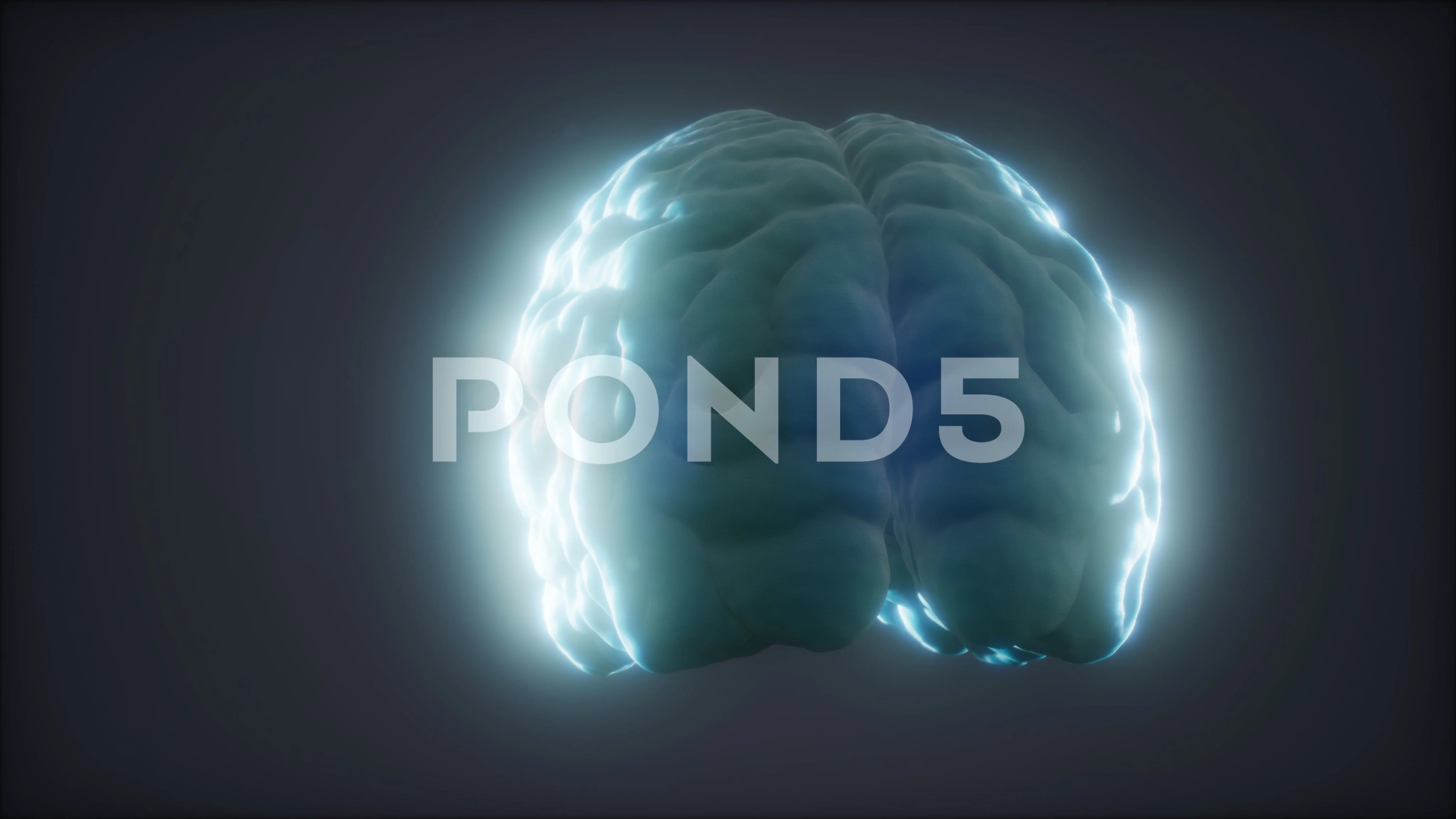 Loop Rotating Human Brain Animation | Stock Video | Pond5