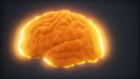 Loop Rotating Human Brain Animation 動画素材 145926172