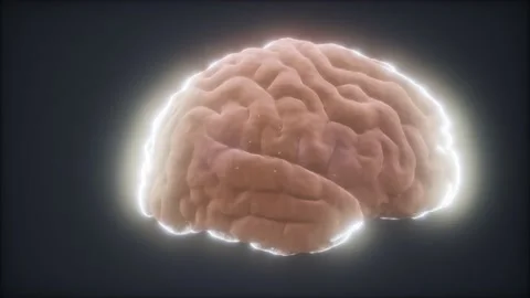 Loop Rotating Human Brain Animation | Stock Video | Pond5