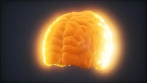 Loop Rotating Human Brain Animation Illustrazione stock