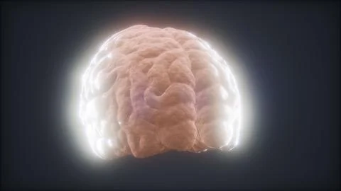 Loop Rotating Human Brain Animation Illustrazione stock