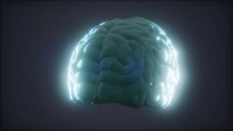 Loop Rotating Human Brain Animation Stock Illustration