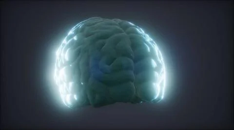 Loop Rotating Human Brain Animation Loop Rotating Human Brain Animation Co... Stock Photos