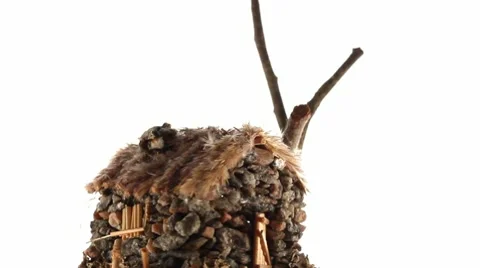 Loop rotating souvenir house Stock Footage 9455475