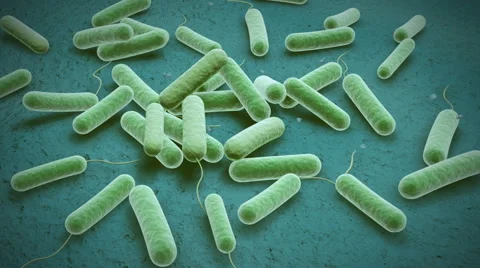 Loop rotating view of bacteria 3d medical animation.  Stock Footage 66525360