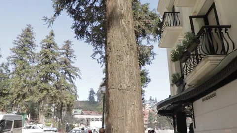 Loop shot of M-Gallery 스톡 동영상 154231273