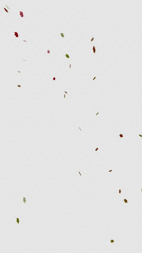 Loop slow motion autumn leaves falling down on transparent background Stock Footage 345329541