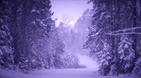 Loop: Snowy winter road in purple light Stock Footage 14974684