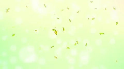 Loop Spring background, 4K spring background with green leaves and bokeh Stock Footage 277790733