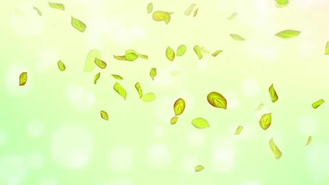 Loop Spring background, 4K spring background with green leaves and bokeh Stock Footage 277790801