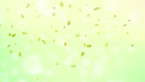 Loop Spring background, 4K spring background with green leaves and bokeh Stock Footage 277790833