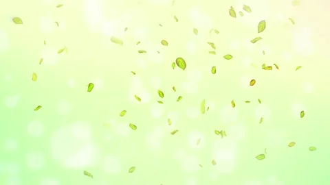 Loop Spring background, 4K spring background with green leaves and bokeh Stock Footage 277790931