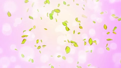 Loop Spring background, 4K spring background with green leaves and bokeh 스톡 동영상 277790959