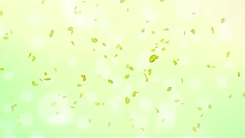 Loop Spring background, 4K spring background with green leaves and bokeh Stock Footage 277791074