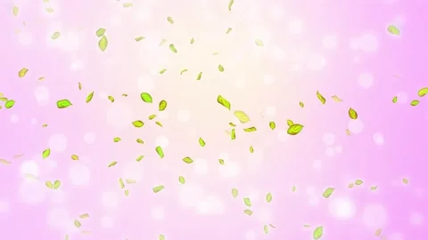Loop Spring background, 4K spring background with green leaves and bokeh Stock Footage 277791495